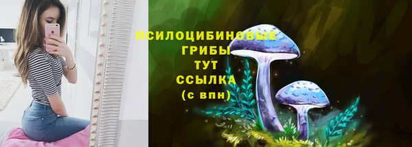 герыч Осташков