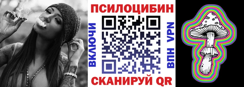 Купить  Фёдоровский  Псилоцибиновые грибы мицелий 